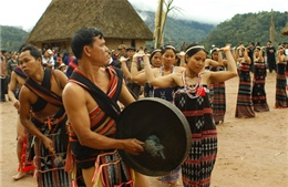 Thông tin về Tây Nguyên phong phú, đa dạng